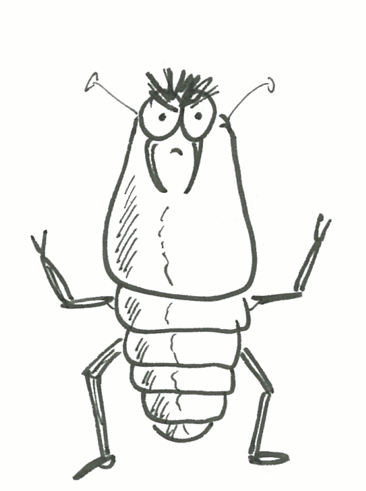 termite04