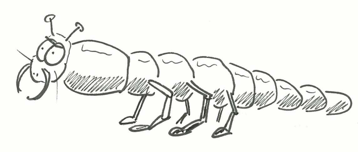 termite19